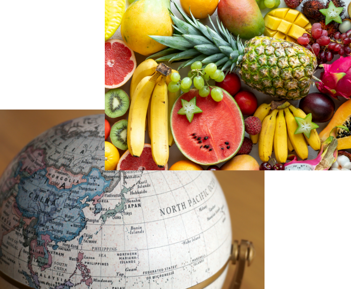 さまざまな国・地域のニーズやトレンドに合致した食品添加物・食品素材を世界中から供給しています