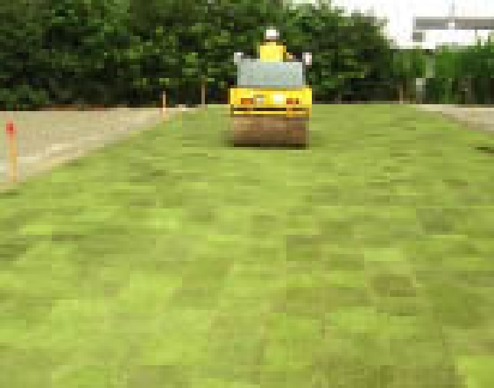 Turf compaction